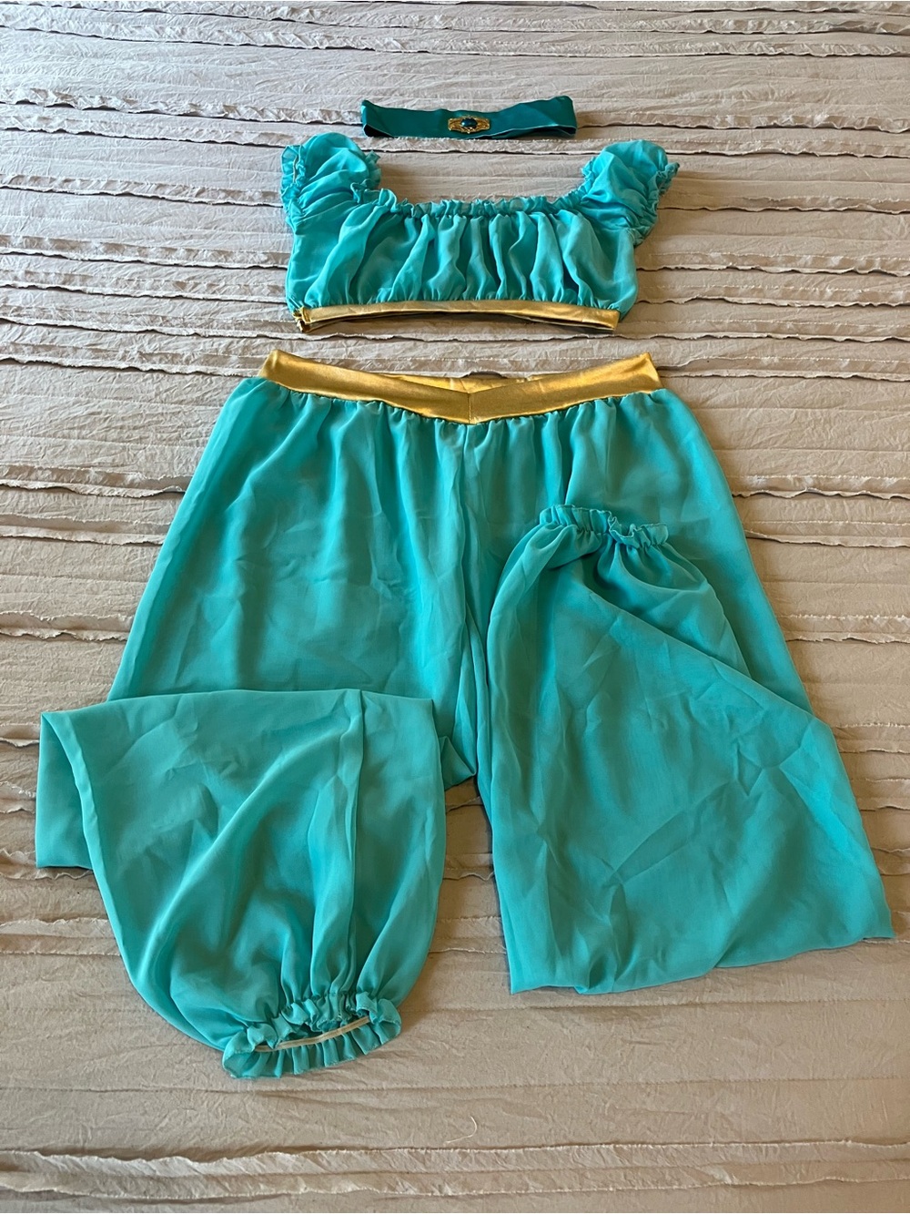 Women’s SM/M (READ!) Jasmine Costume